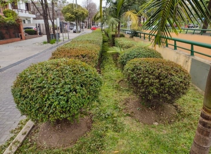 Jardín