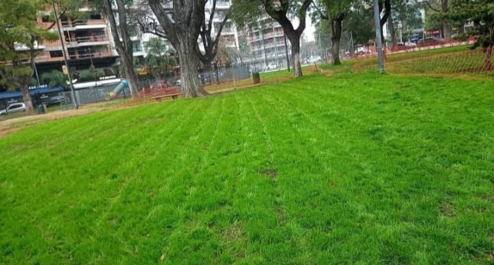 Jardín