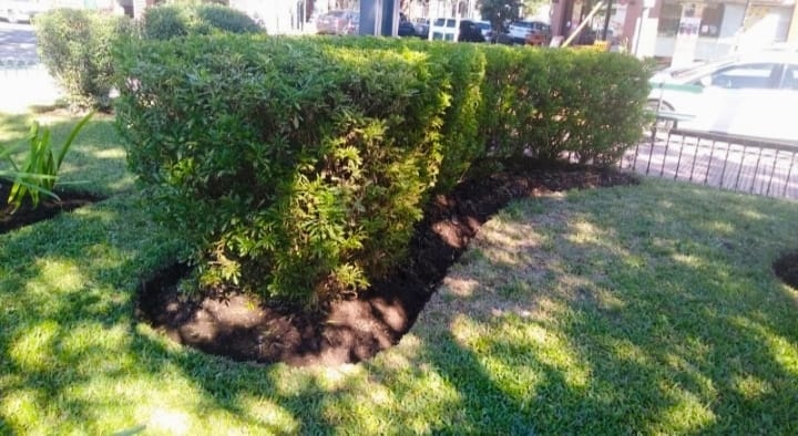 Jardín