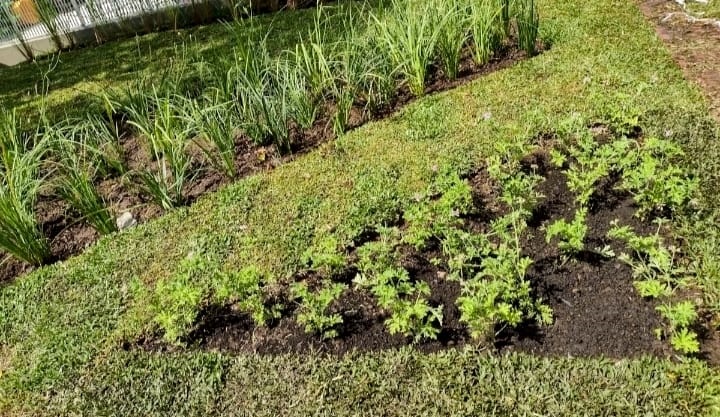 Jardín