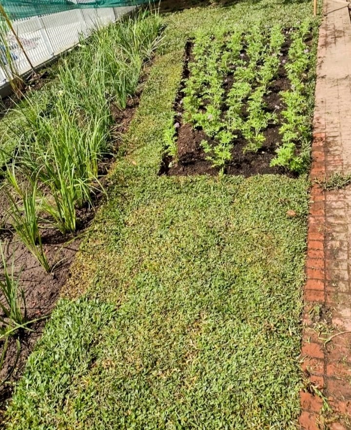 Jardín