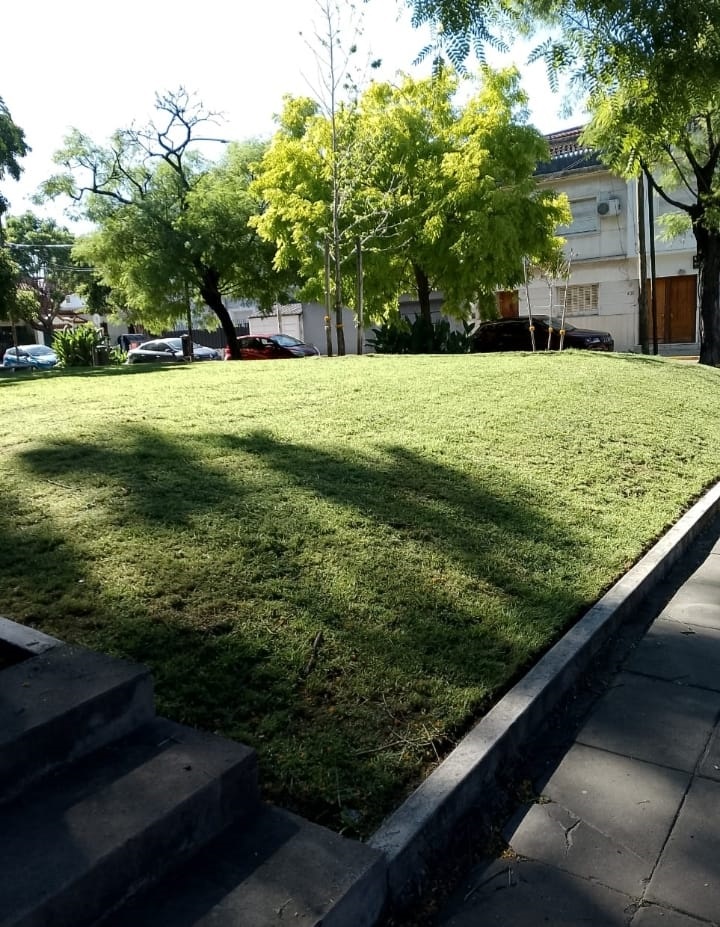 Jardín