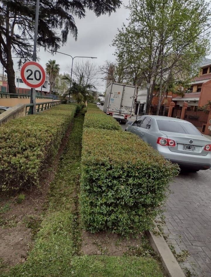 Jardín