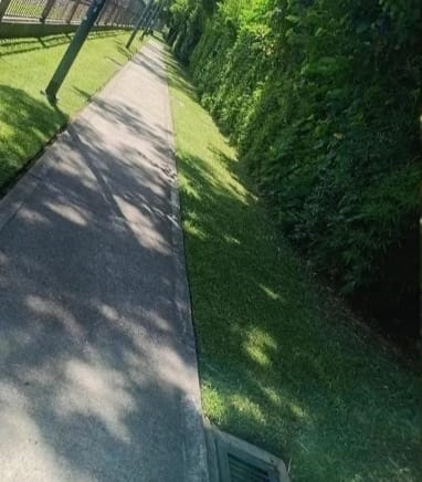Jardín